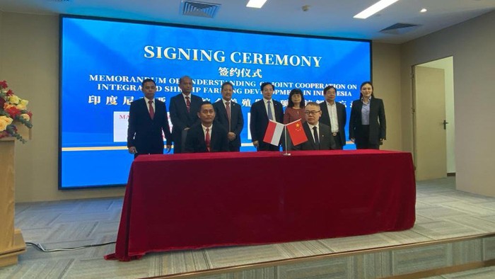 KKP Gaet Perusahaan China Kembangkan Budidaya Udang Terintegrasi