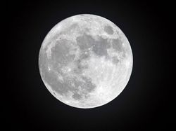 Deretan Teori Konspirasi Gila yang Dipercayai Banyak Orang