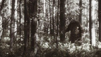 Bigfoot itu nyata. Bigfoot, Sasquatch, sebut saja apa pun yang kalian inginkan, tapi banyak orang yakin makhluk yang sulit dipahami itu ada. Selama bertahun-tahun orang telah mencoba melacaknya, menghasilkan video dan gambar yang sering muncul dari hewan tinggi dan berbulu yang berjalan tegak. (Foto: popularmechanics)