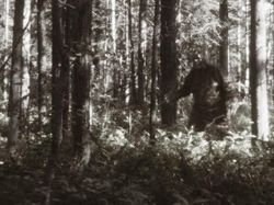 Deretan Teori Konspirasi Gila yang Dipercayai Banyak Orang