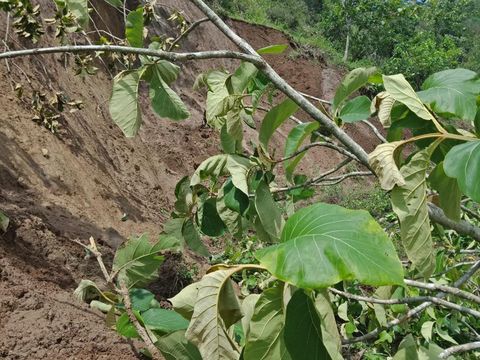 Lokasi tanah longsor di Dusun Jaten, Desa Ngroto, Kecamatan Kismantoro, Kabupaten Wonogiri, Selasa (5/12/2023).