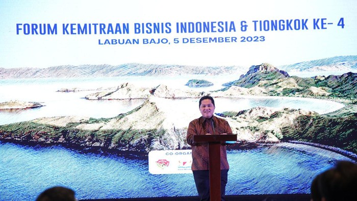 Menko Kemaritiman & Investasi Ad Interim Erick Thohir