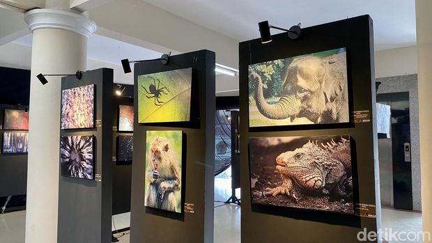 Pameran fotografi Mekar