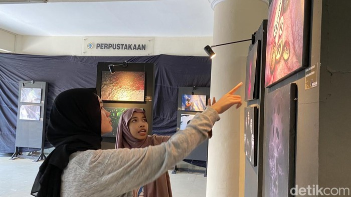 Pameran fotografi Mekar