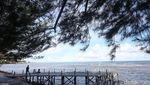 Hidden Gem Pantai-Pegunungan yang Mungkin Belum Detikers Ketahui