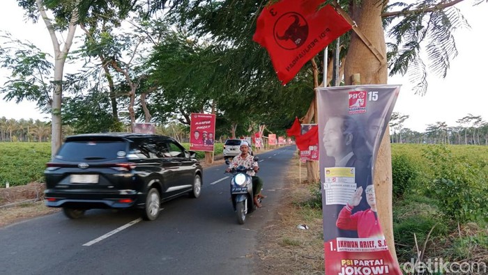Perang Baliho PSI dengan PDIP di sepanjang jalan menuju Bangsring Underwater, Banyuwangi jelang keadatangan Kaesang Pangarep.