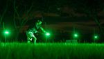 Petani Bawang di Banyuwangi Gunakan Lampu Hijau untuk Genjot Produksi