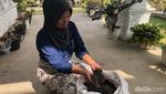 Potret Aktivitas Masyakarat Lereng Gunung Marapi usai Erupsi