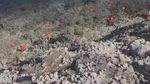 Potret Petugas Evakuasi Korban dari Atas Gunung Marapi