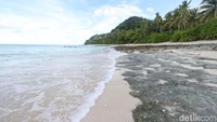Wisatawan bisa melihat terumbu karang yang indah hingga ikan nemo di bawah laut Pulau Senoa. Wisatawan juga bisa berkemah di Pulau Senoa, dan jika beruntung, bisa melihat penyu sedang bertelur.  