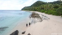 Jika berkunjung ke Pulau Natuna, sempatkanlah singgah ke Pulau Senoa. Wisatawan bisa melihat terumbu karang yang indah hingga ikan nemo di bawah laut pulau tersebut. Grandyos Zafna/detikcom.