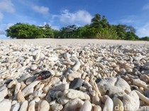 Di Wilayah Ini Kamu Dilarang Mengambil Kerikil dari Pantai, Apa Alasannya?