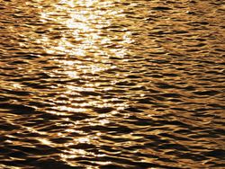 Ini Hasil Foto Realme GT 5 Pro Pesaing iPhone 15, Bagus atau Tidak?