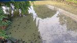 Potret Sodetan Ciliwung Terkini, Belum Ampuh Atasi Banjir?