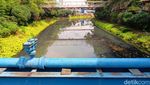 Potret Sodetan Ciliwung Terkini, Belum Ampuh Atasi Banjir?