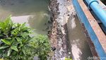 Potret Sodetan Ciliwung Terkini, Belum Ampuh Atasi Banjir?