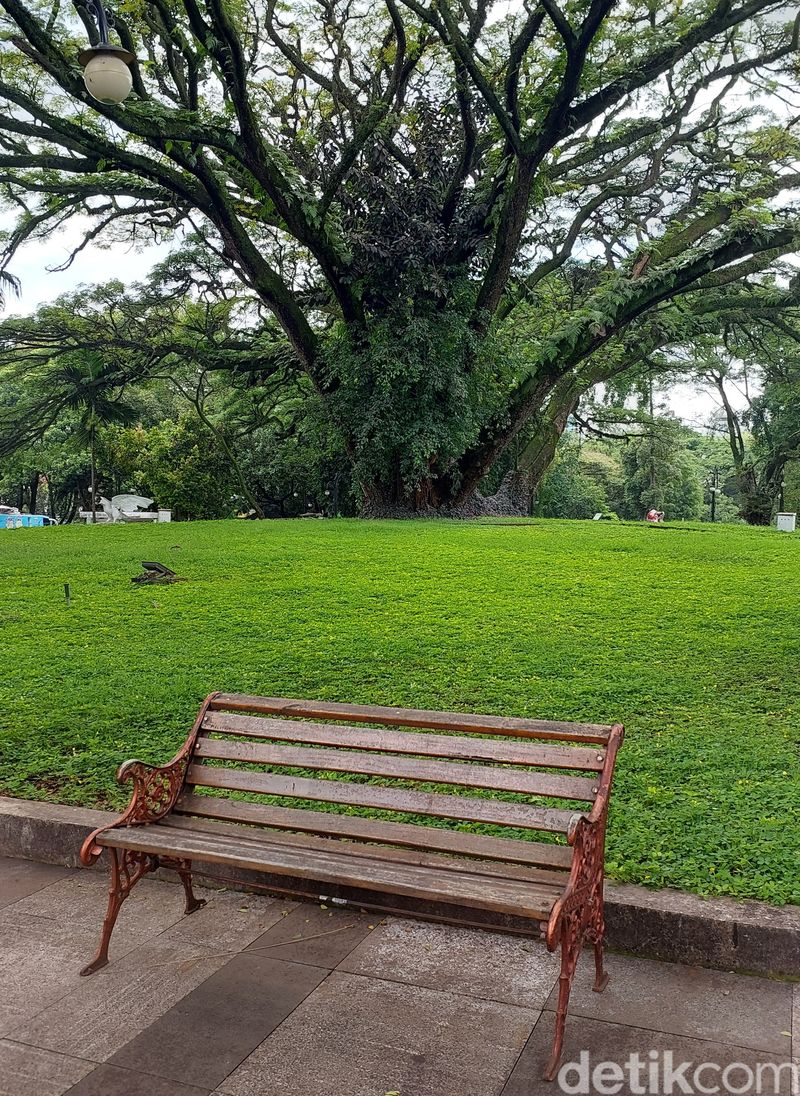 Taman Labirin di Balai Kota Bandung.