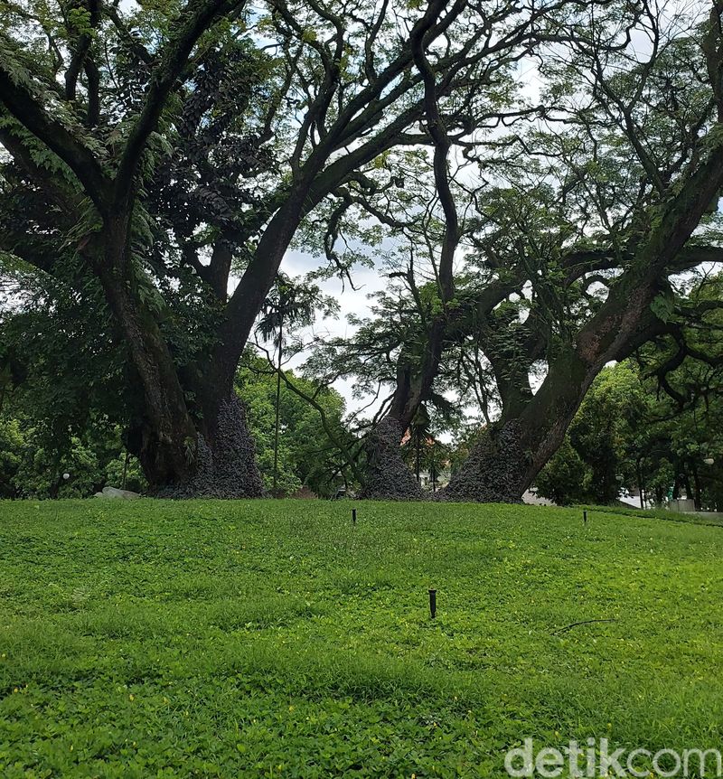 Taman Labirin di Balai Kota Bandung.