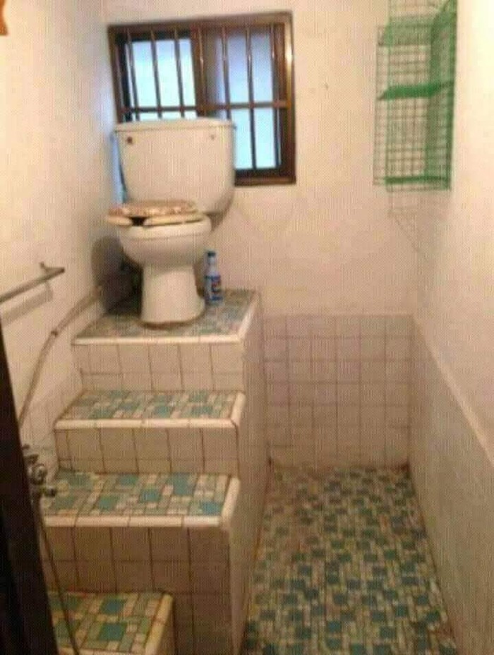 Toilet Nyeleneh