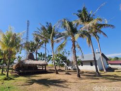 Tuan Tanah di Sumba Timur Hibahkan Lahan Demi Kampungnya Merdeka Sinyal