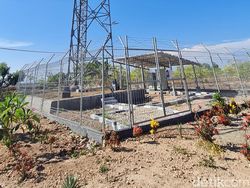 Tuan Tanah di Sumba Timur Hibahkan Lahan Demi Kampungnya Merdeka Sinyal