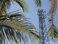 Tuan Tanah di Sumba Timur Hibahkan Lahan Demi Kampungnya Merdeka Sinyal