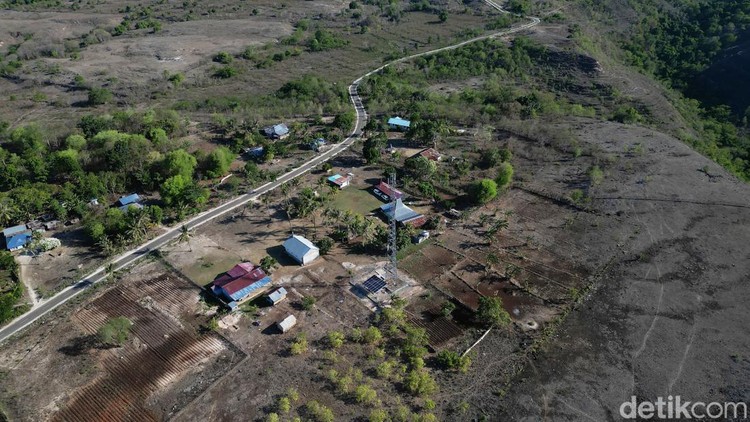 Umbu Nai Hapu di Desa Maubokul, NTT.