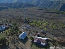 Tuan Tanah di Sumba Timur Hibahkan Lahan Demi Kampungnya Merdeka Sinyal