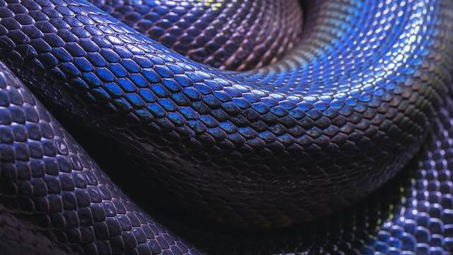 Avtomobil fotosuratidagi vaginadagi narsalar