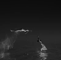 Julian Zeman memenangkan kategori foto pre-wedding atau non-wedding. Foto: International Wedding Photographer of the Year