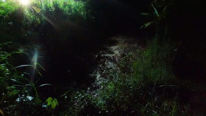 Banjir lahar dingin menerjang sejumlah wilayah di Tanah Datar. (Dok Kominfo Pemkab Tanah Datar)