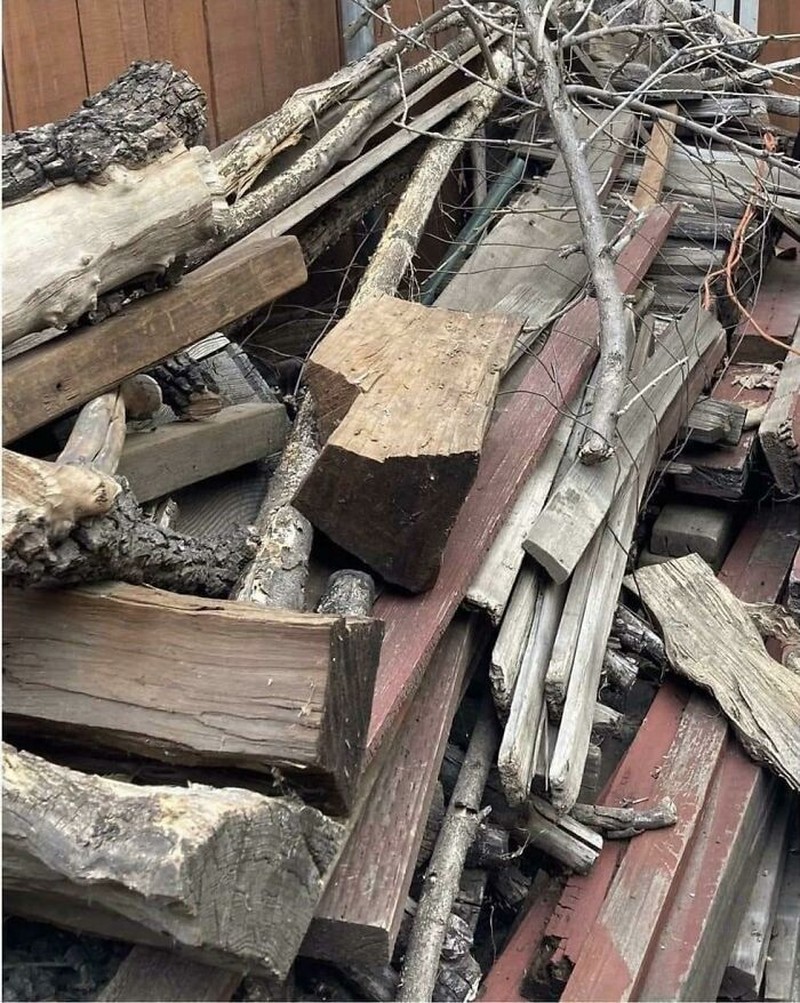 Foto kamuflase yang bikin pusing