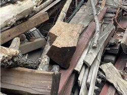 Foto Kamuflase Ini Bikin Pusing, Sulit Banget Nyarinya