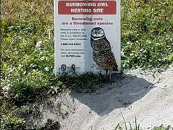 Foto Kamuflase Ini Bikin Pusing, Sulit Banget Nyarinya