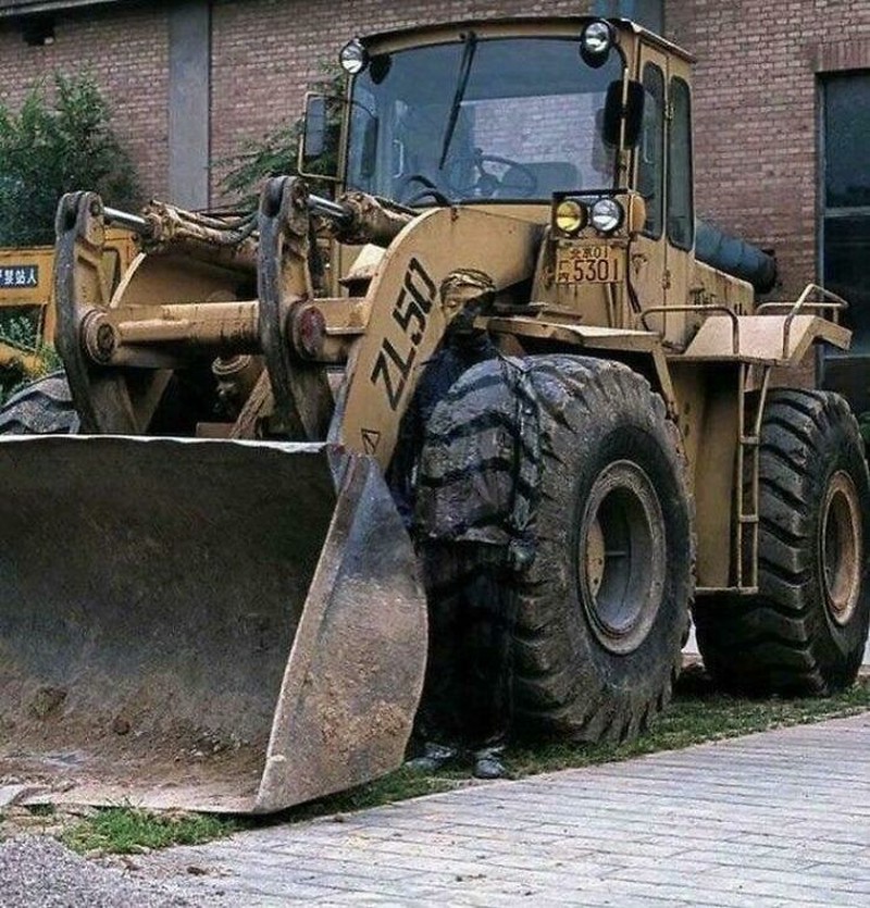 Foto kamuflase yang bikin pusing