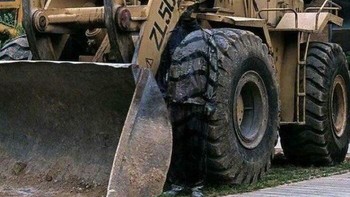 Coba cari manusia di foto ini. Foto: Boredpanda