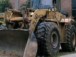 Foto Kamuflase Ini Bikin Pusing, Sulit Banget Nyarinya