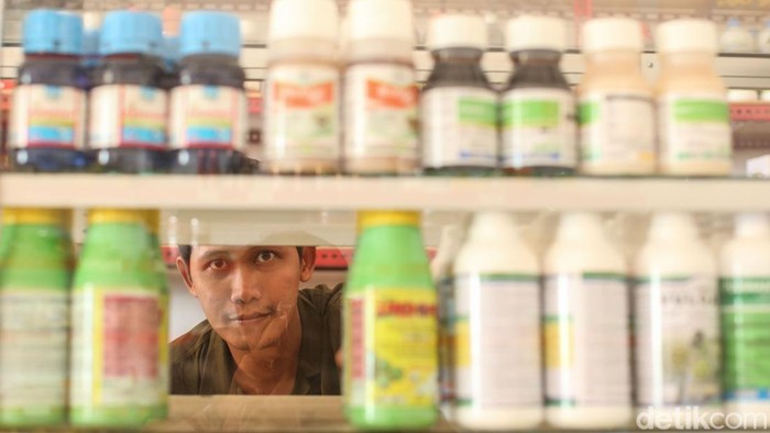 Sebagian besar orang Indonesia mengadu nasib ke luar negeri. Sulitnya mencari pekerjaan di negeri sendiri menjadi motivasi mereka untuk merantau. Hal ini juga turut dilakukan oleh Unggul Andoko, warga Kampung (desa) Isano Mbias, Distrik Tanah Miring, Kabupaten Merauke, Papua Selatan.