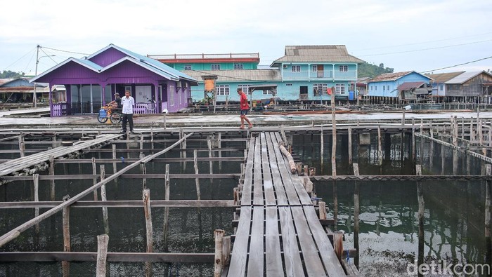 Melihat Budidaya Ikan Napoleon di Natuna, Tembus Rp 1 Juta Per Ekor Warga di pulau Sedanau, Kepulaua Riau banyak yang melakukan budiday Ikan Napoleon. Banyak warga Pulau Sedanau yang melakukan pembudidayaan Ikan Napoleon, harga jual yang fantastis membuat warga memilih membudidayakan Ikan Napoleon sebagai mata pencaharian.