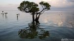 Menikmati Indahnya Pantai Walakiri NTT
