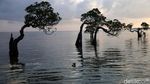 Menikmati Indahnya Pantai Walakiri NTT