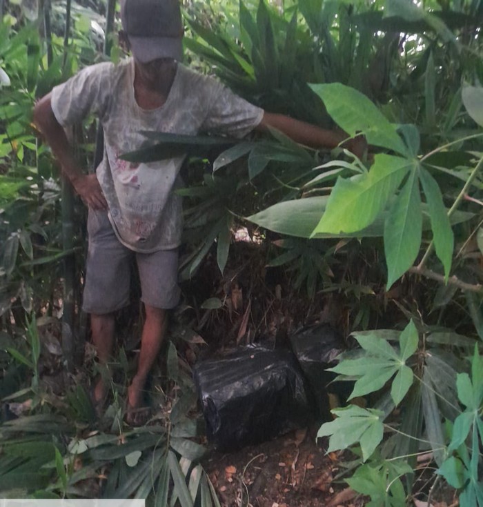 Pekerja sawit di Paluta temukan sabu tak bertuan di semak-semak. (Dok Polsek Padang Bolak)