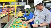 Syngenta Seed Indonesia mendukung peningkatan produksi pangan nasional khususnya jagung melalui penyediaan benih jagung unggul berkualitas dengan teknologi mutakhir dan pembinaan lebih dari 70 ribu petani mitra yang tersebar di berbagai daerah di Indonesia.