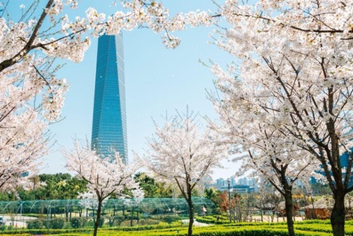 adv korean toursm