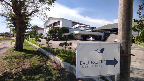 Bali Exotic Marine Park, Denpasar, Bali, Kamis (7/12/2023).