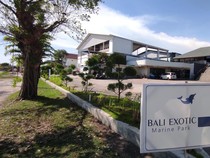 Bali Exotic Marine Park Belum Berkomentar soal Dugaan Penyiksaan Lumba-lumba