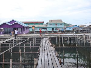 Melihat Budi Daya Ikan Napoleon yang Banyak Dilirik Warga Hong Kong