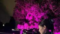 Jennie juga sempat membagikan momennya menikmati marshmallow panggang. Ia membakar marshmallow itu di sebuah taman saat musim dingin. Foto: Instagram