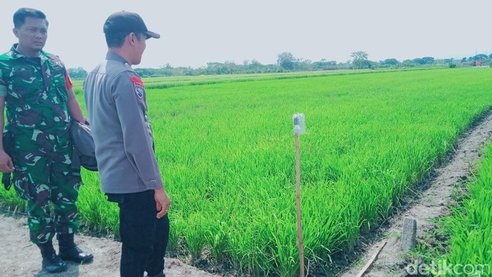 Lokasi bocah tewas tersengat listrik di Desa Ngreden, Kecamatan Wonosari, Klaten, Kamis (7/12/2023).