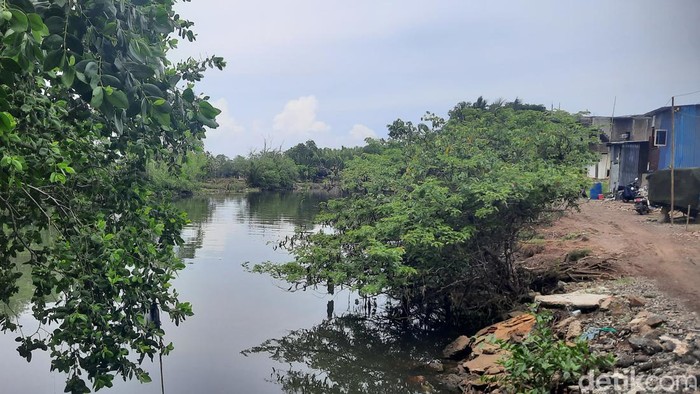 Lokasi kemunculan buaya 3 meter di Kali Pampang, Panakkukang, Makassar, Sulsel.